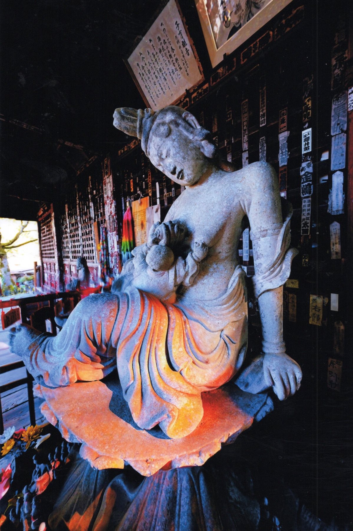 入賞写真