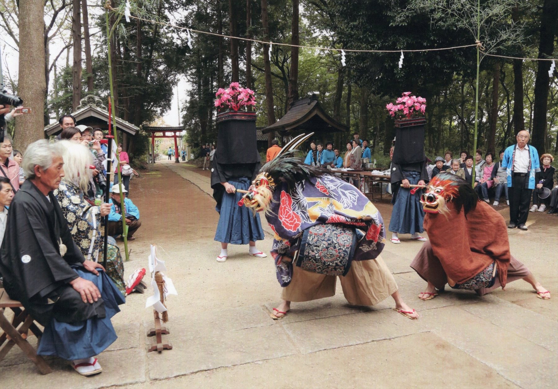 入賞写真
