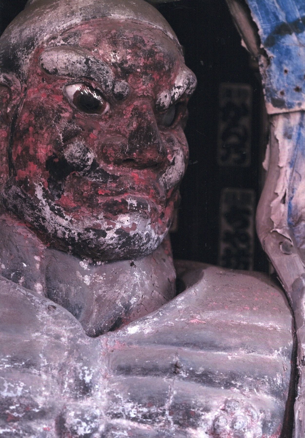 入賞写真