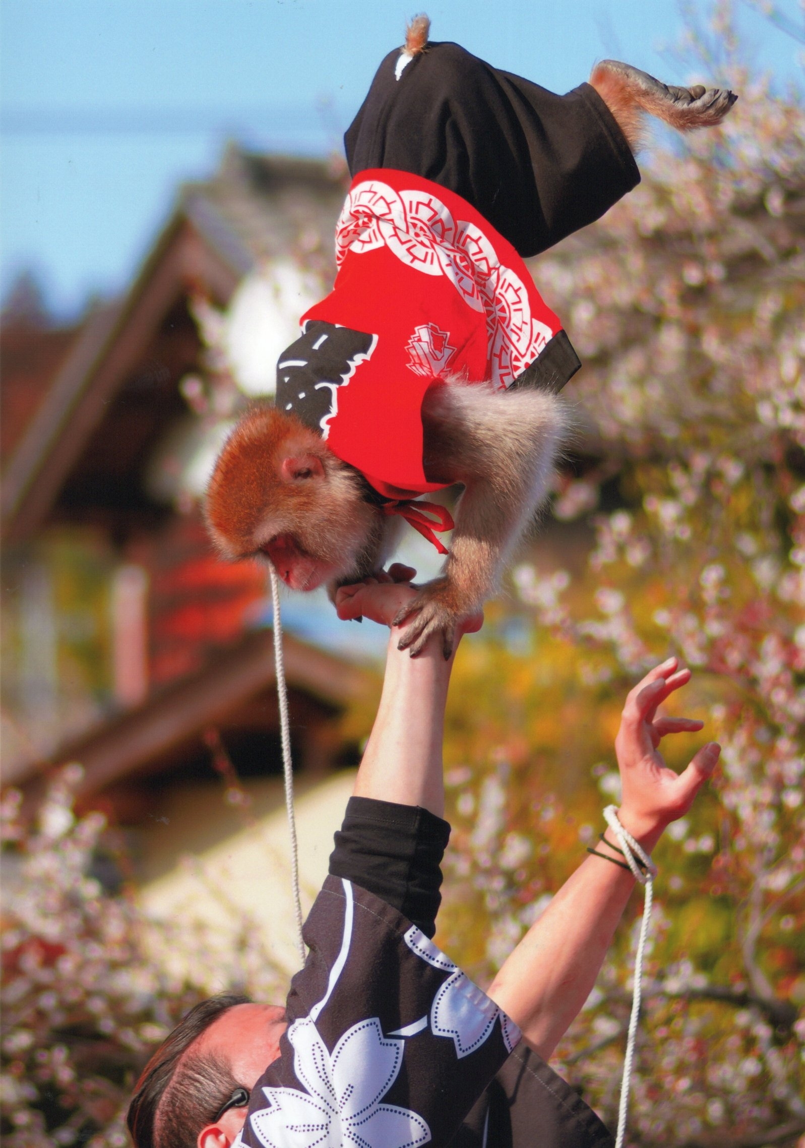 入賞写真