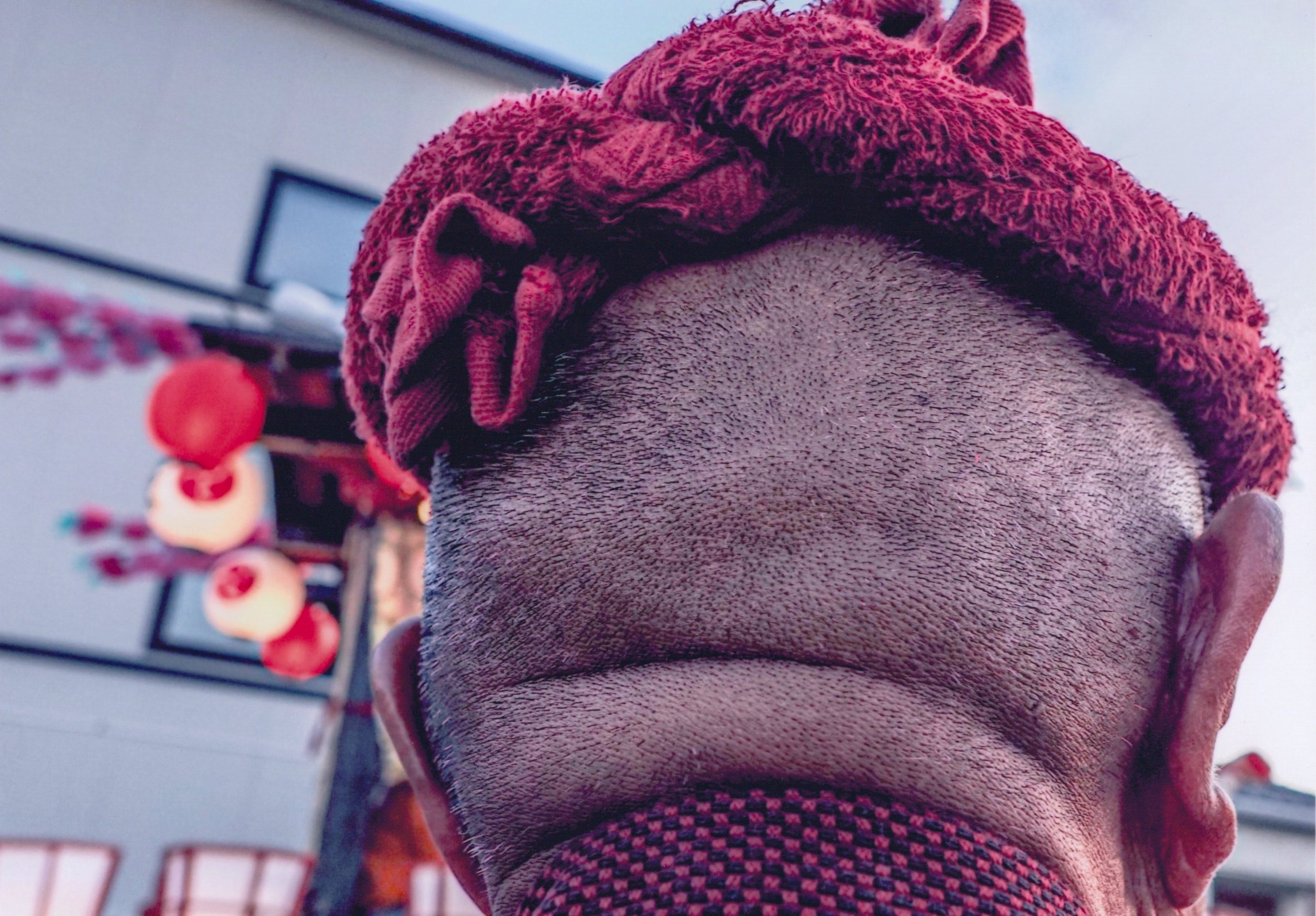 入賞写真