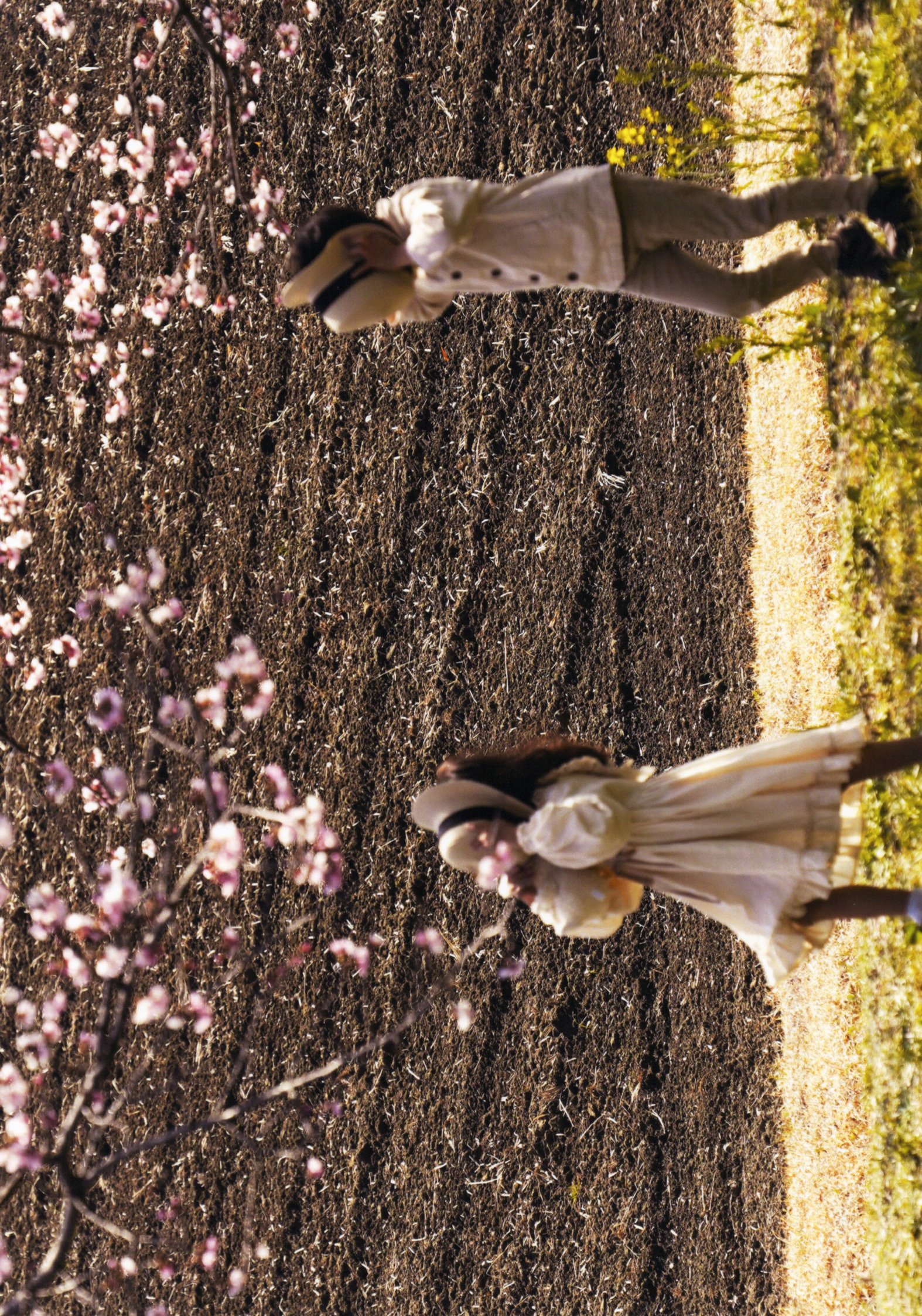 入賞写真