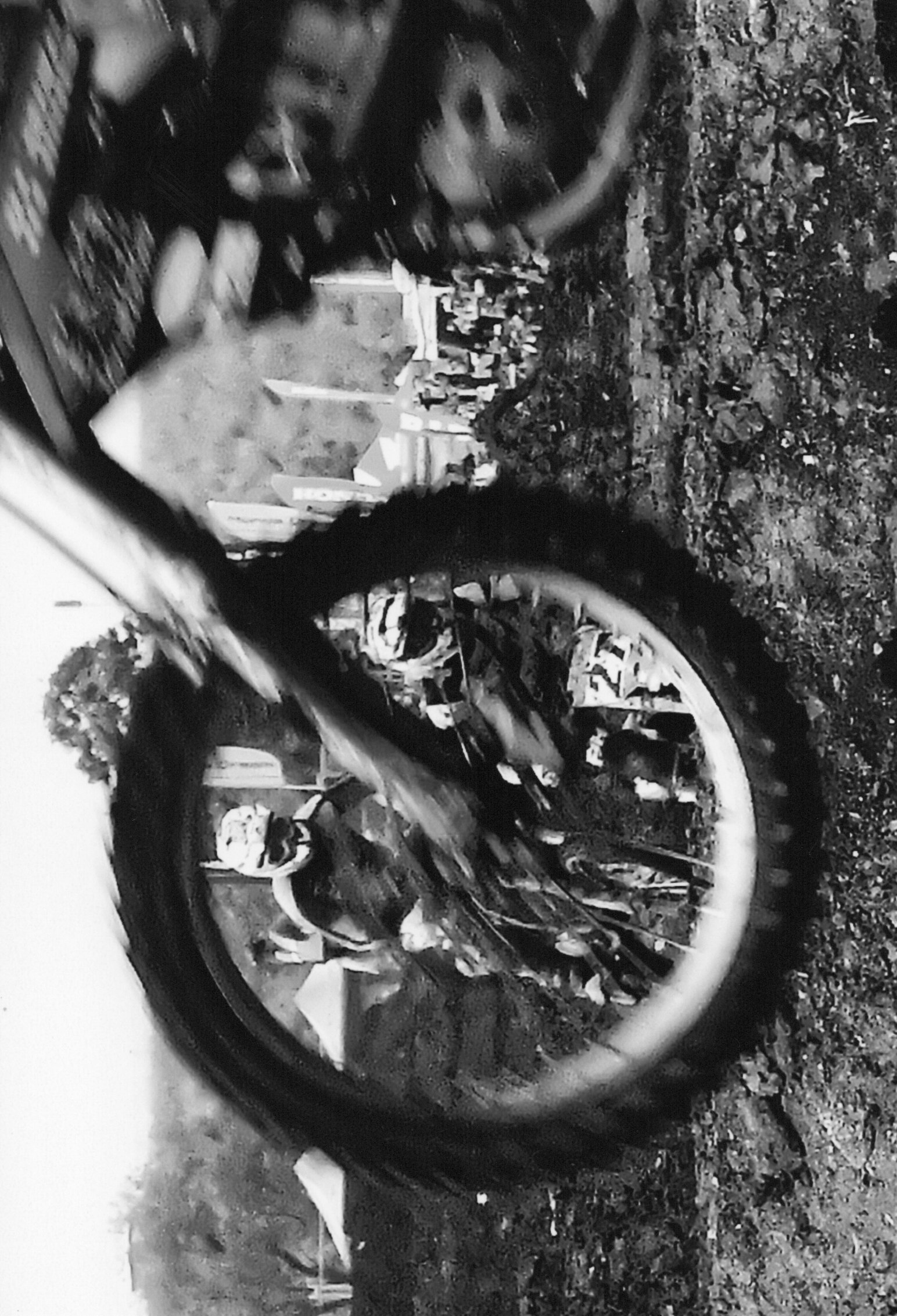 入賞写真