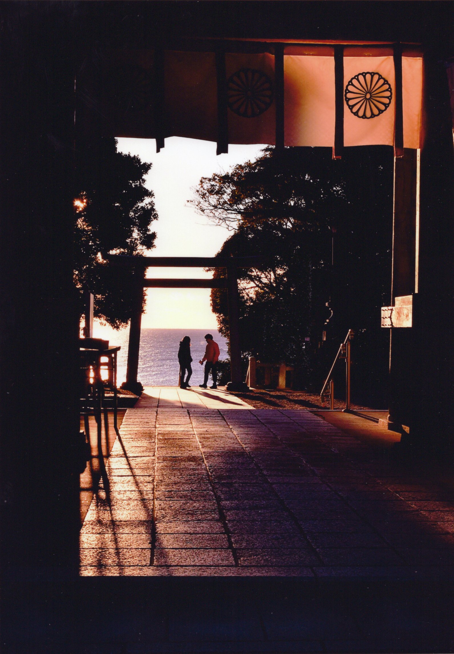 入賞写真