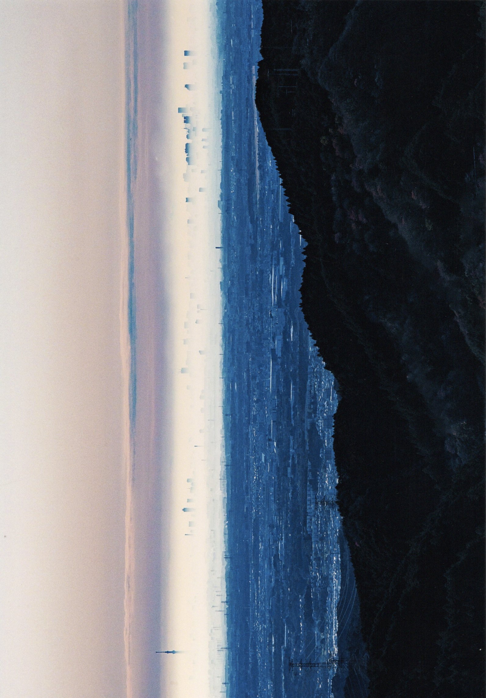 入賞写真