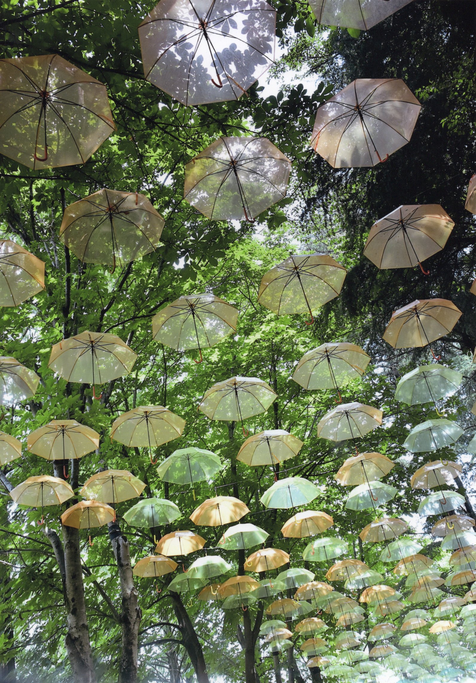 入賞写真