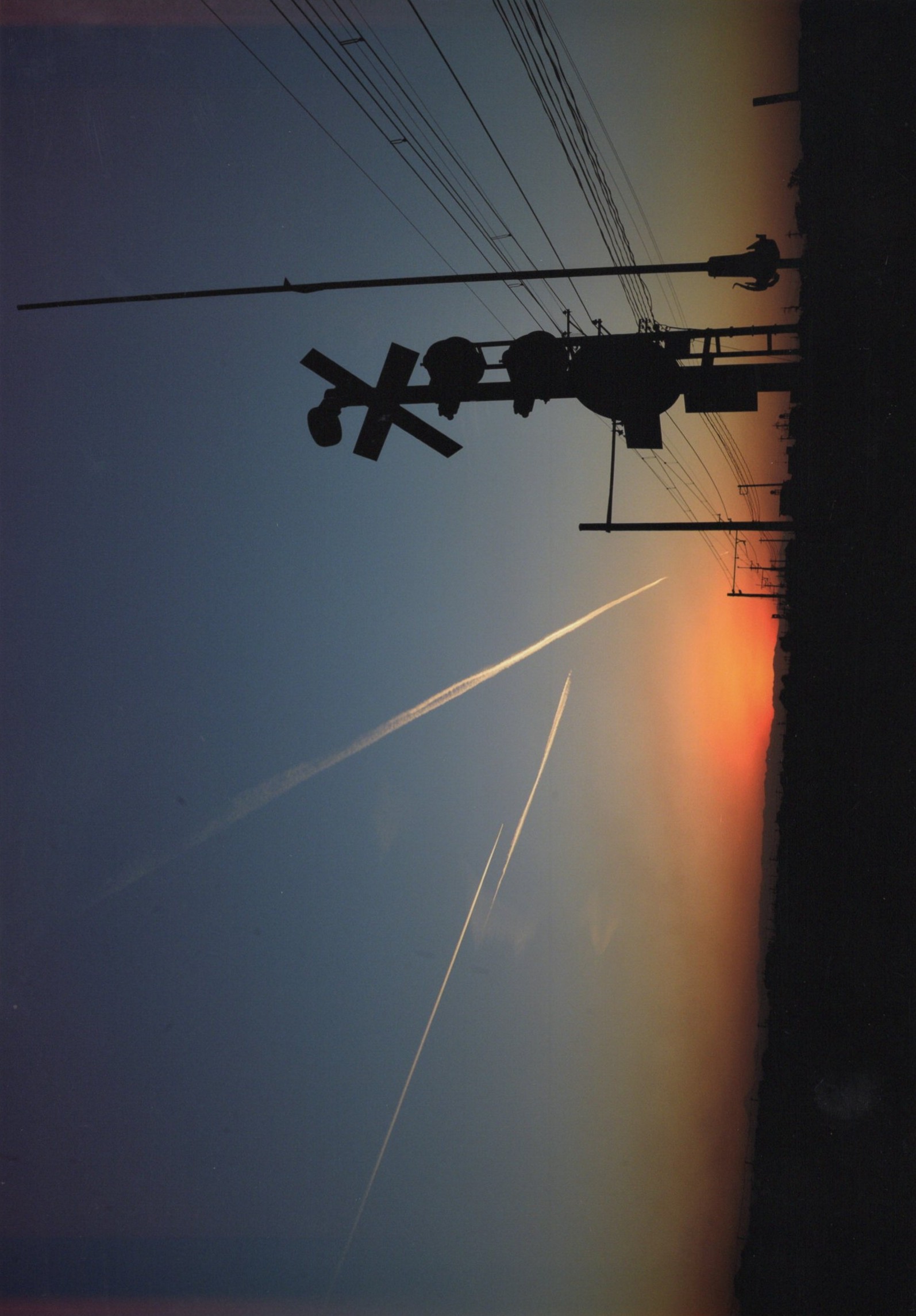 入賞写真