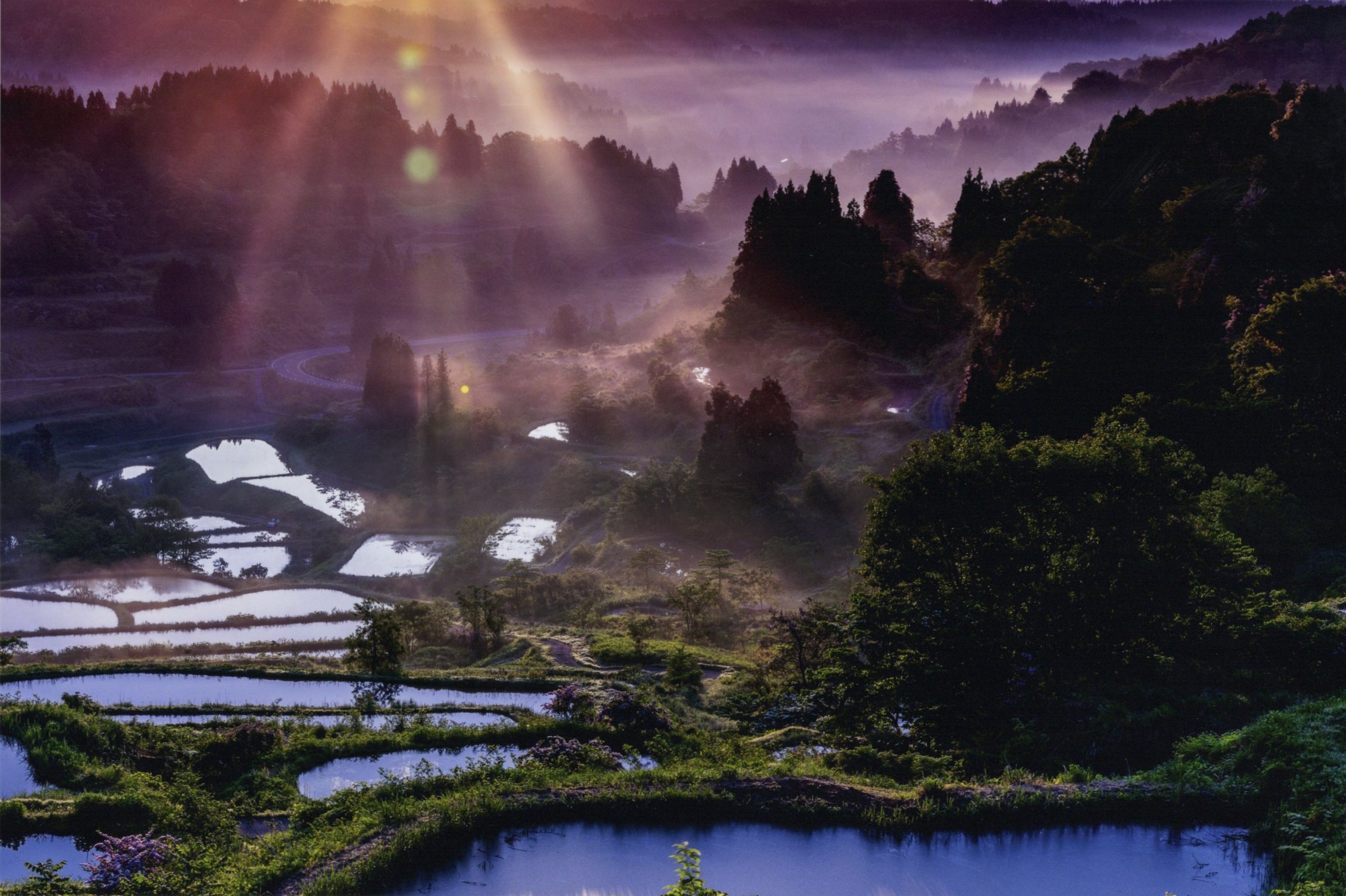 入賞写真