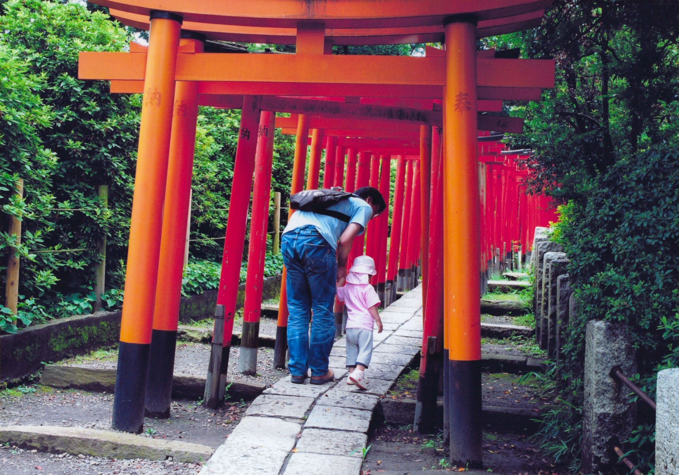 入賞写真