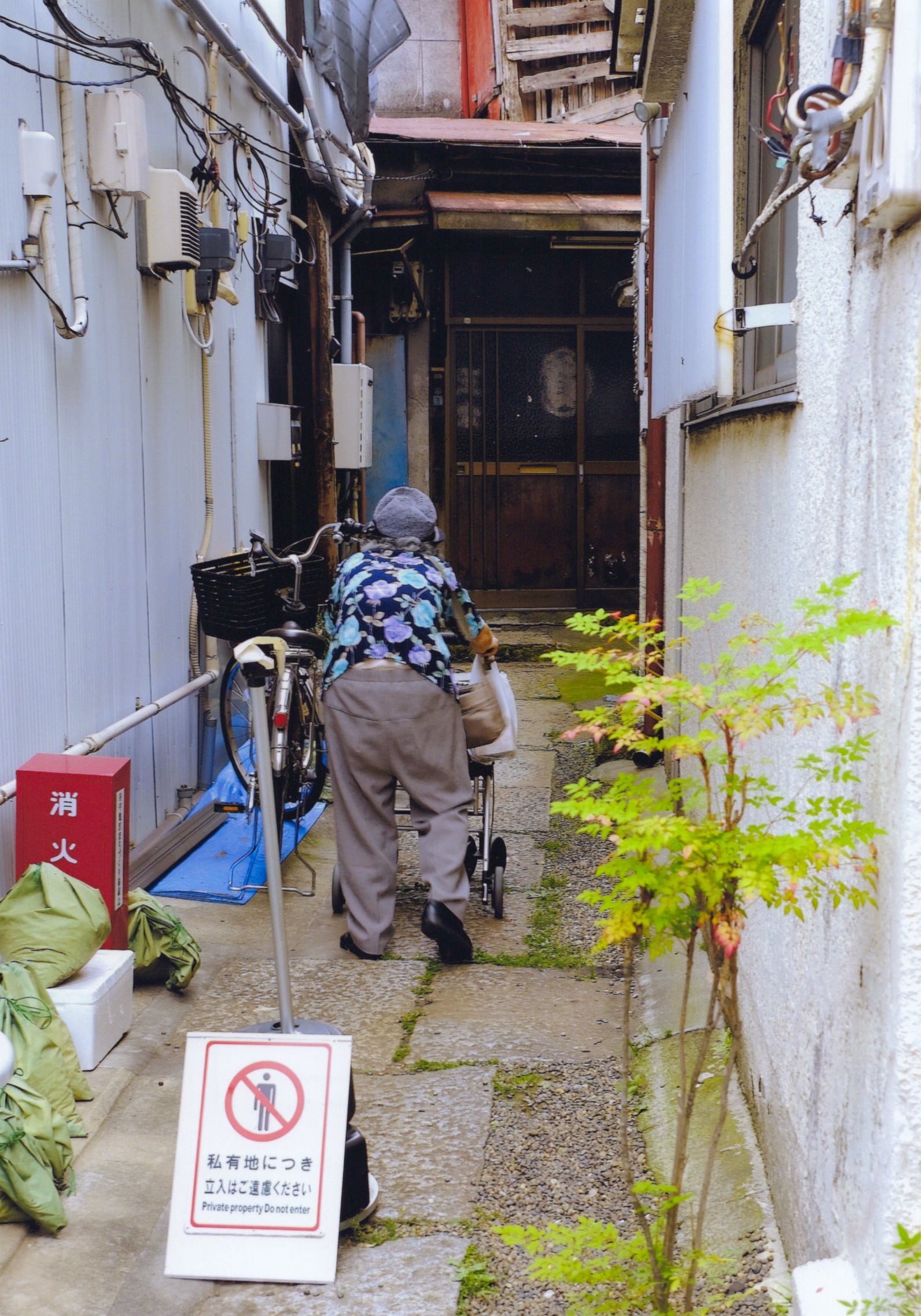 入賞写真