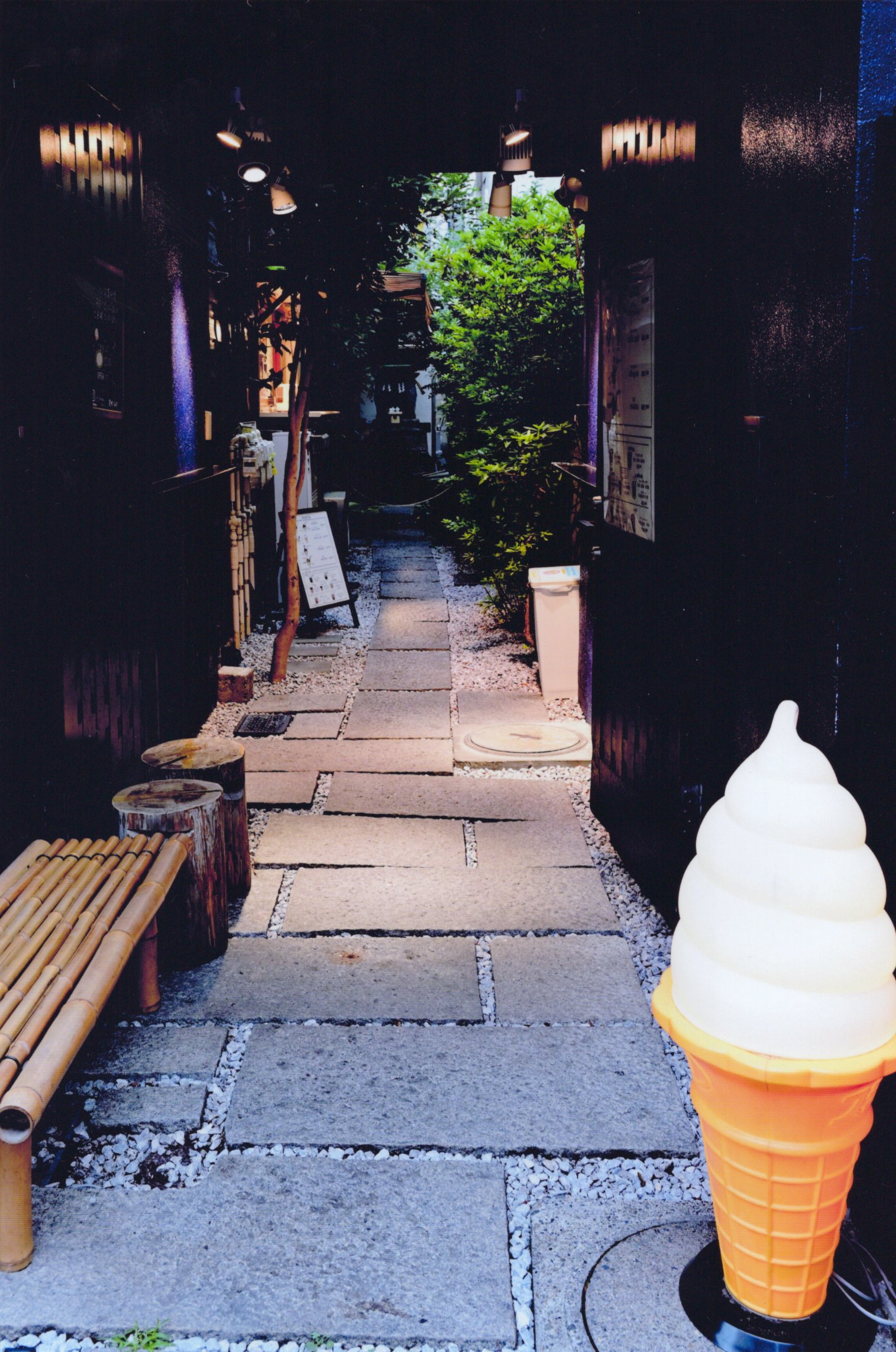 入賞写真