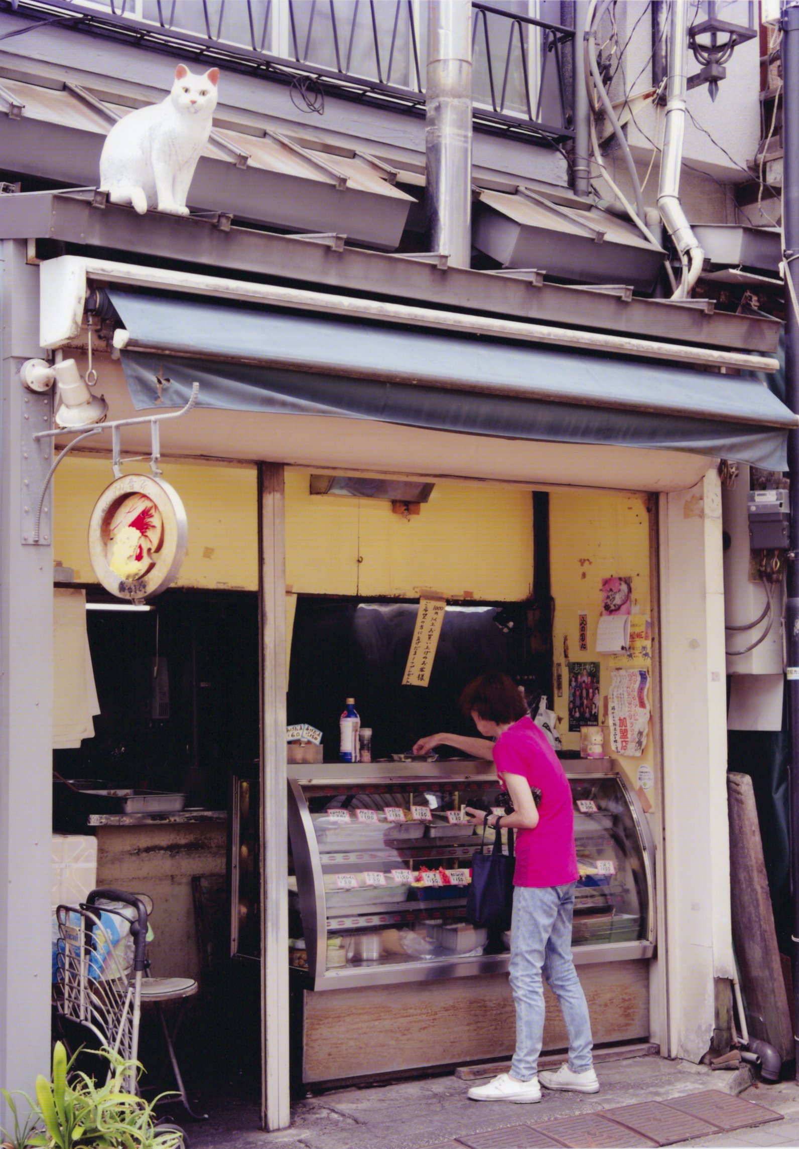 入賞写真