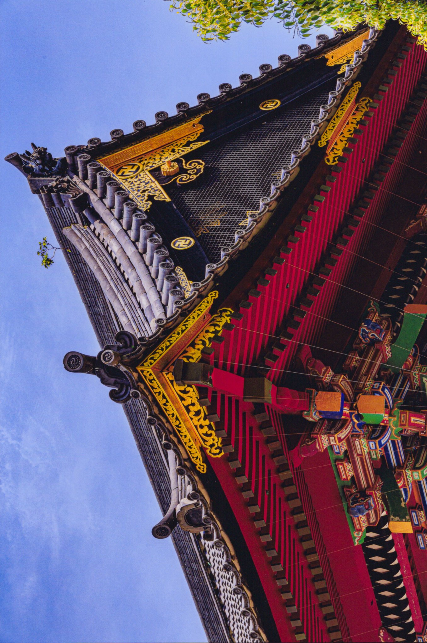 入賞写真
