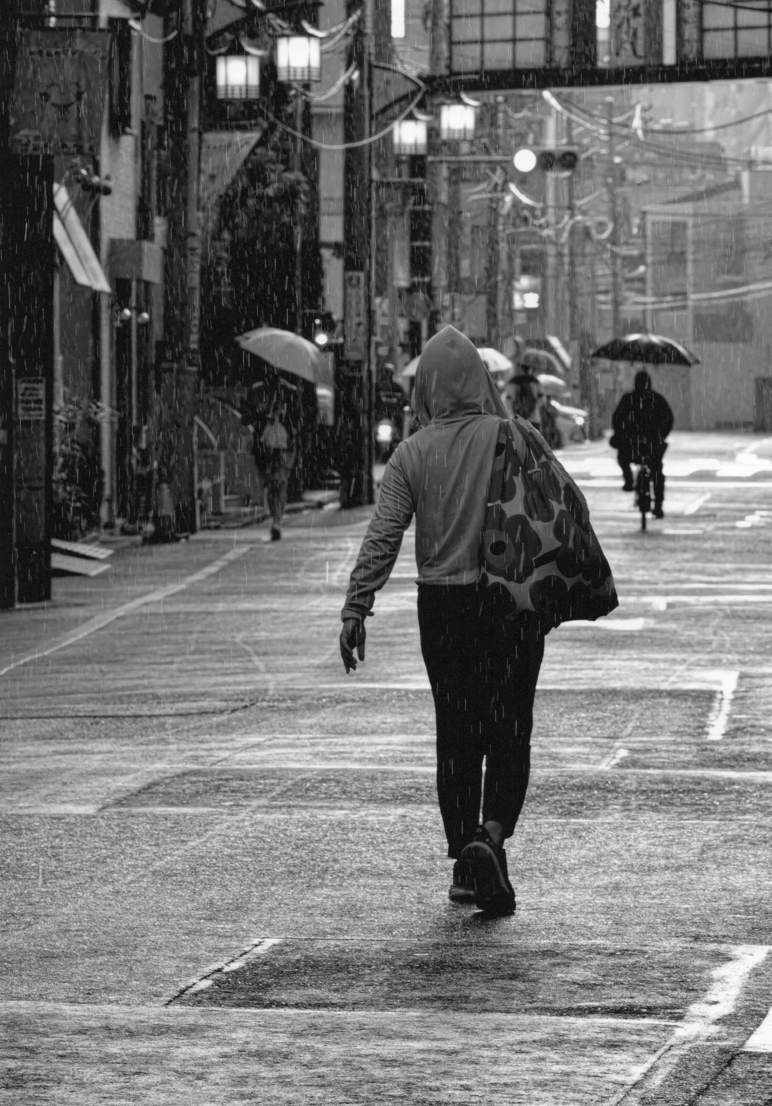 入賞写真