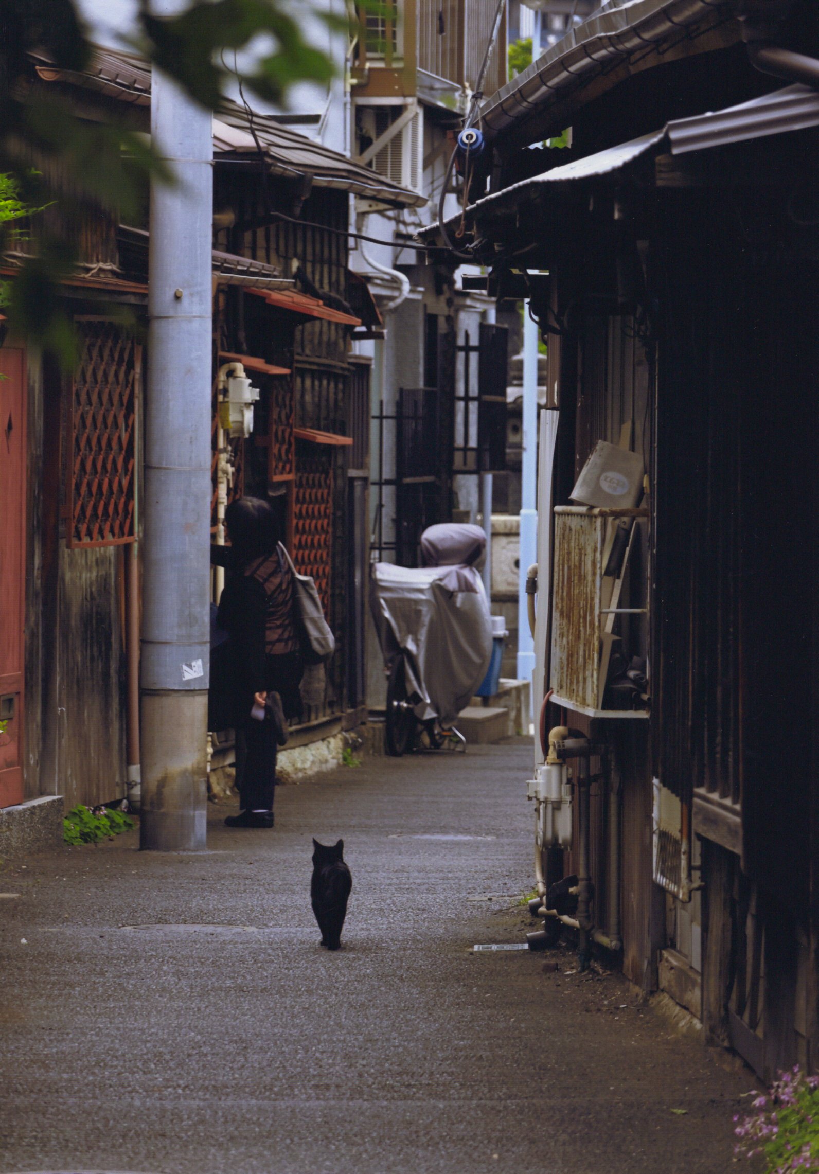 入賞写真