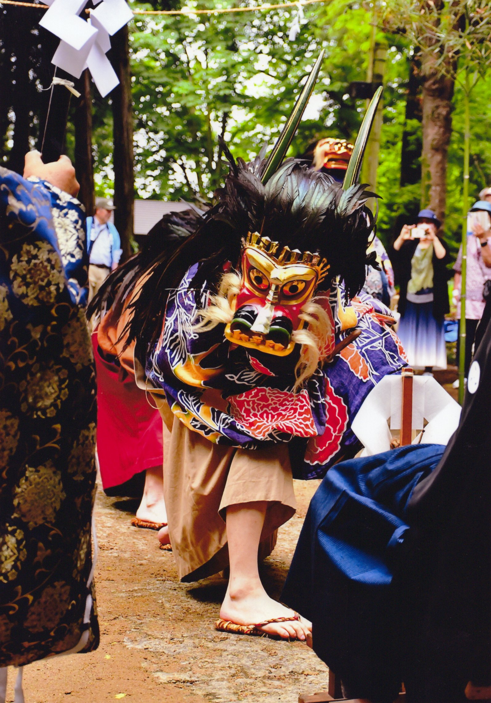入賞写真