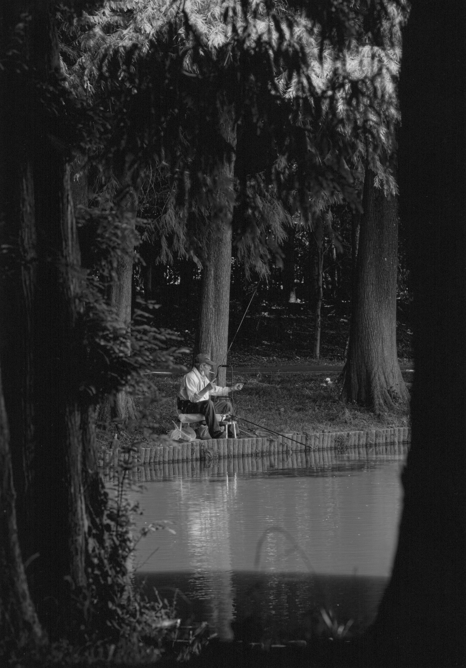 入賞写真