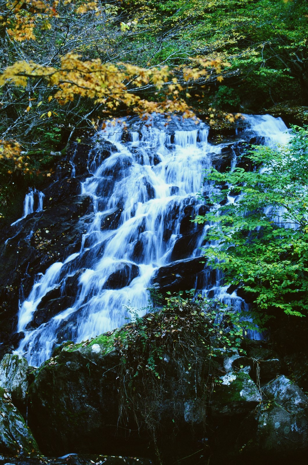 写真