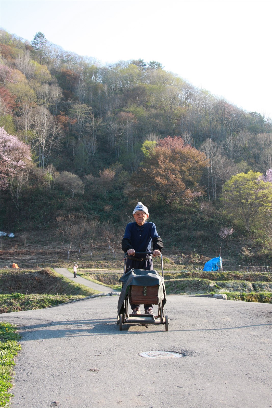 写真