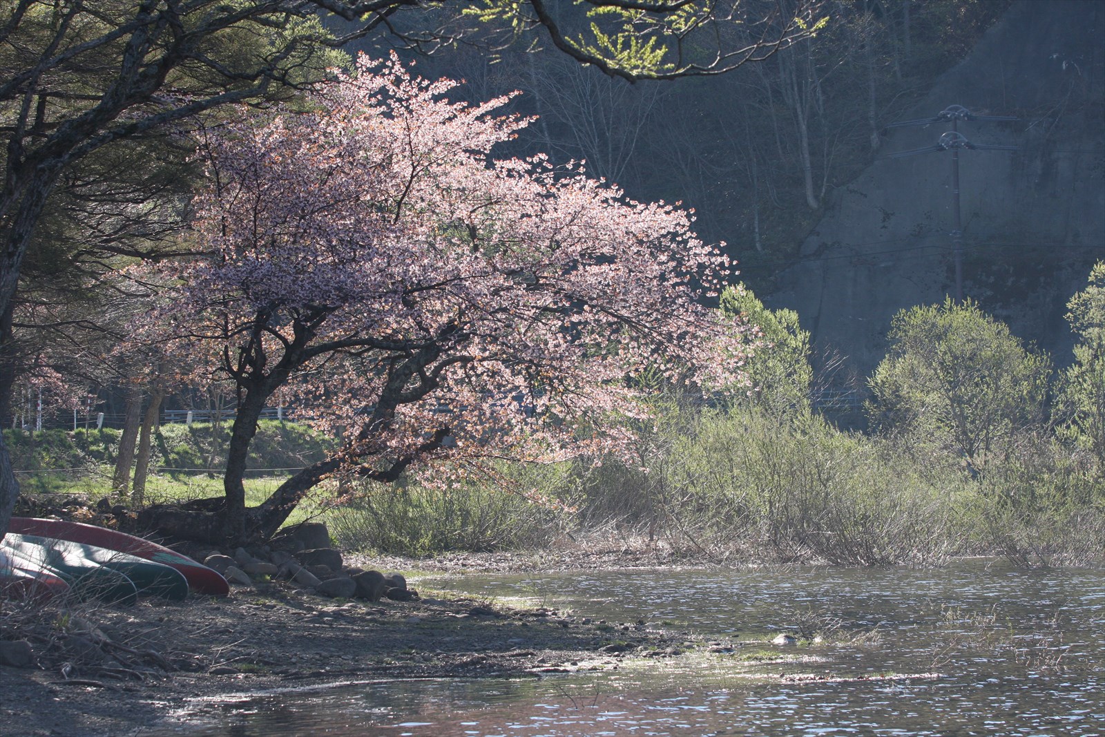 写真