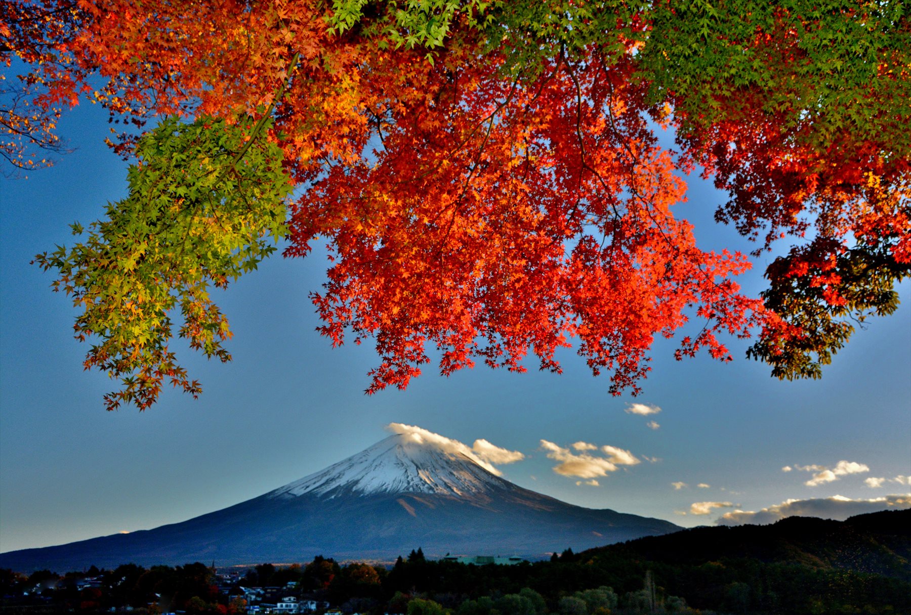 写真
